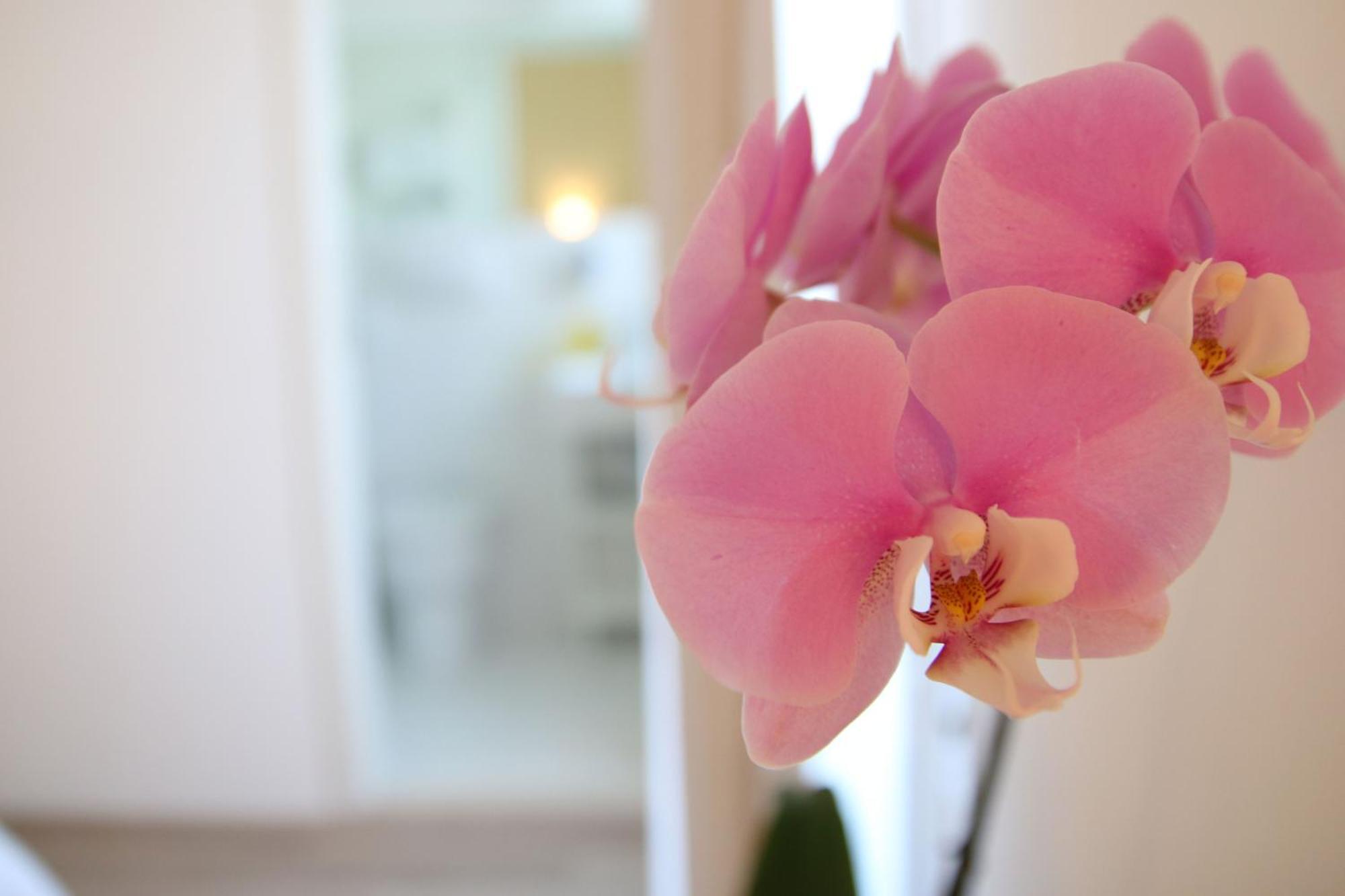 Maree Hotel Cesenatico Zewnętrze zdjęcie